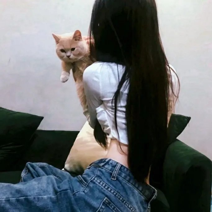 奶爸的爱情生活